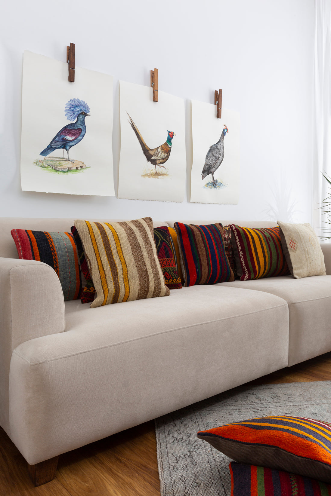 SOFAS